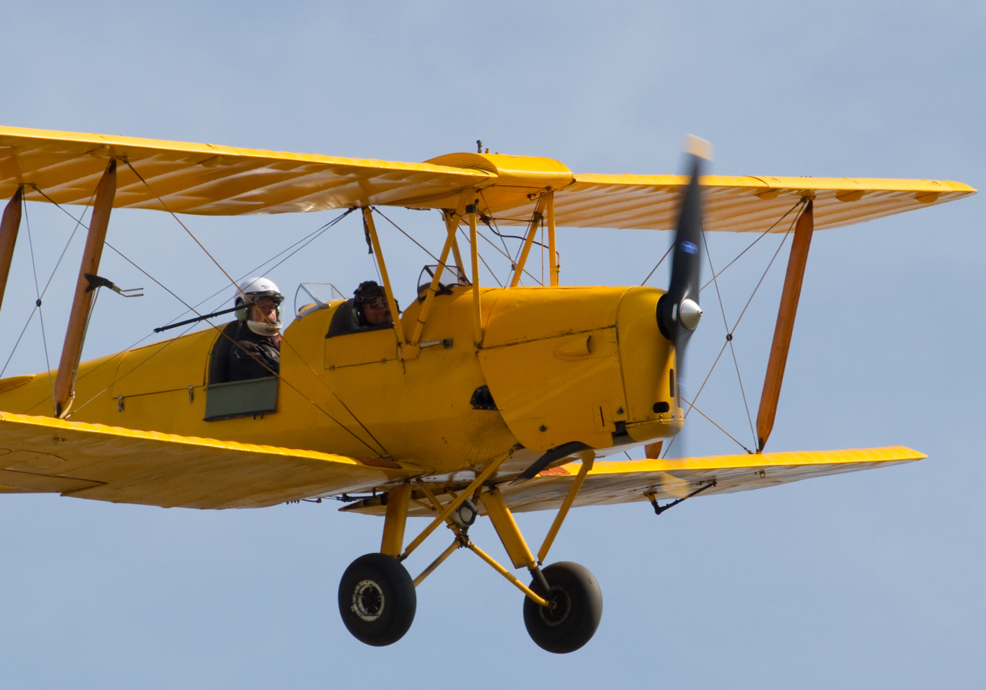 Tiger Moth 01