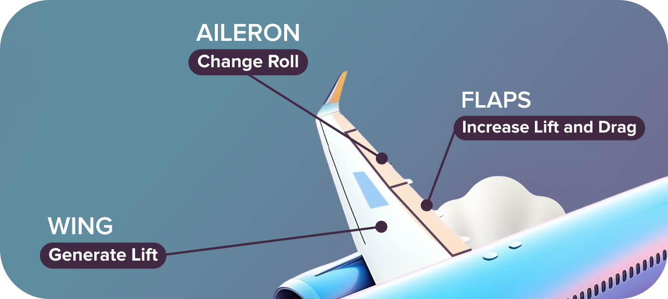 Wing Flaps and Aileron