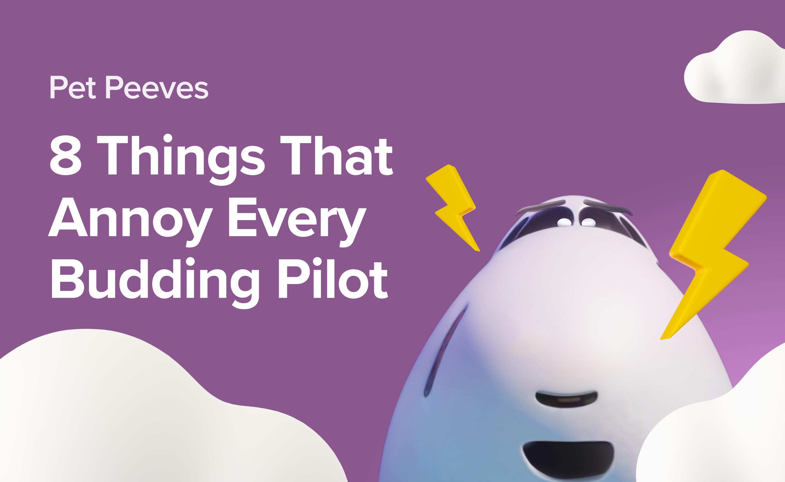 Cover 8 Things That Annoy Every Budding Pilot